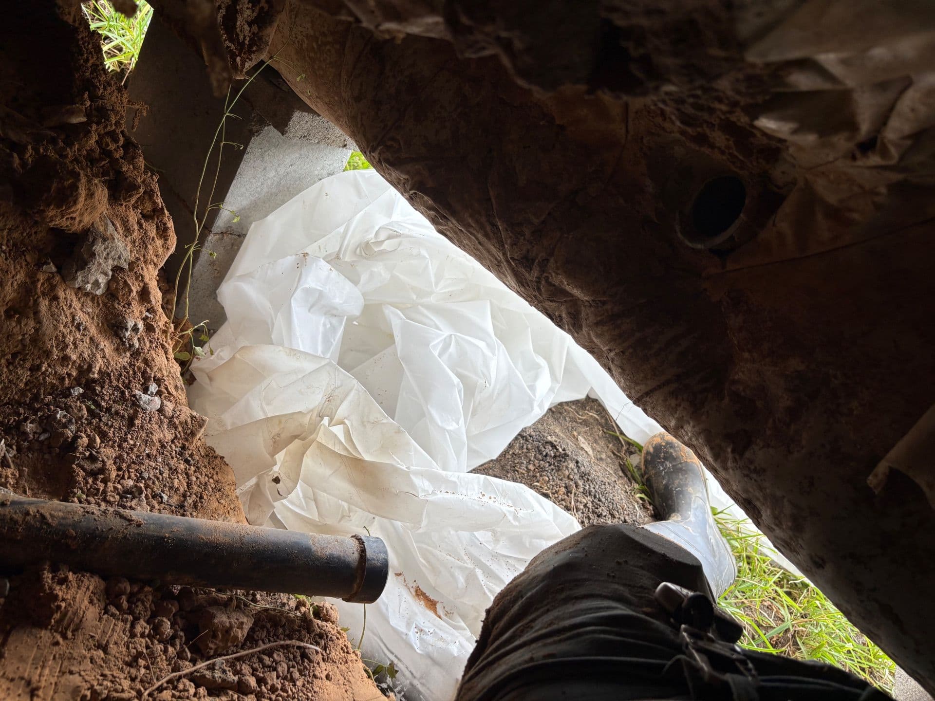 Project Crawl Space Discovery in Hitchcock TX image