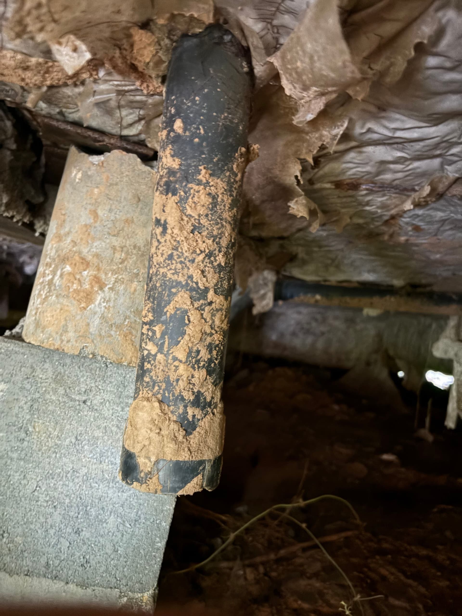 Crawl Space Discovery in Hitchcock TX