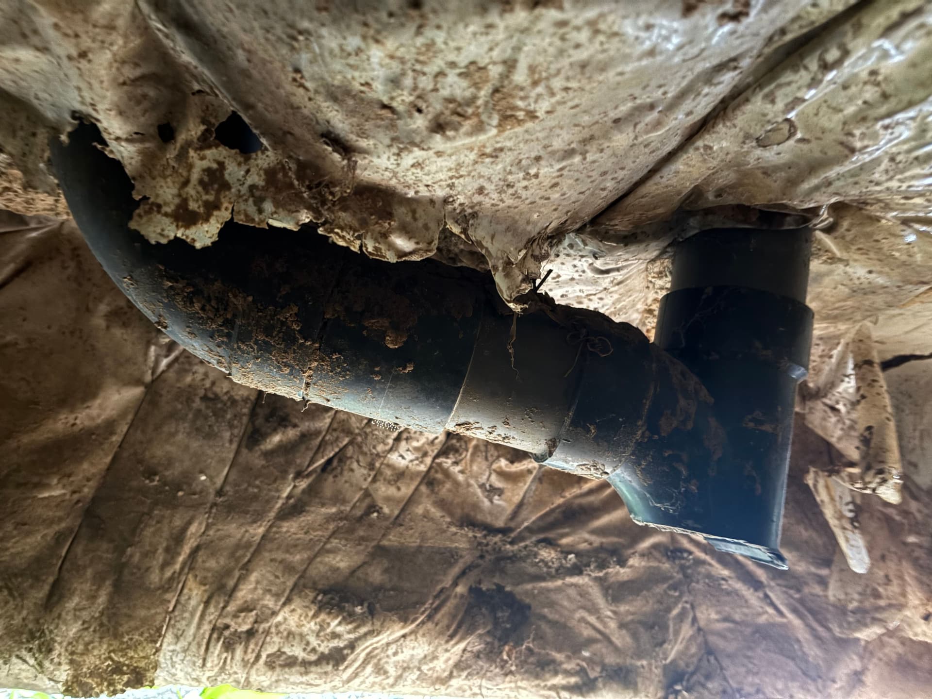 Crawl Space Discovery in Hitchcock TX