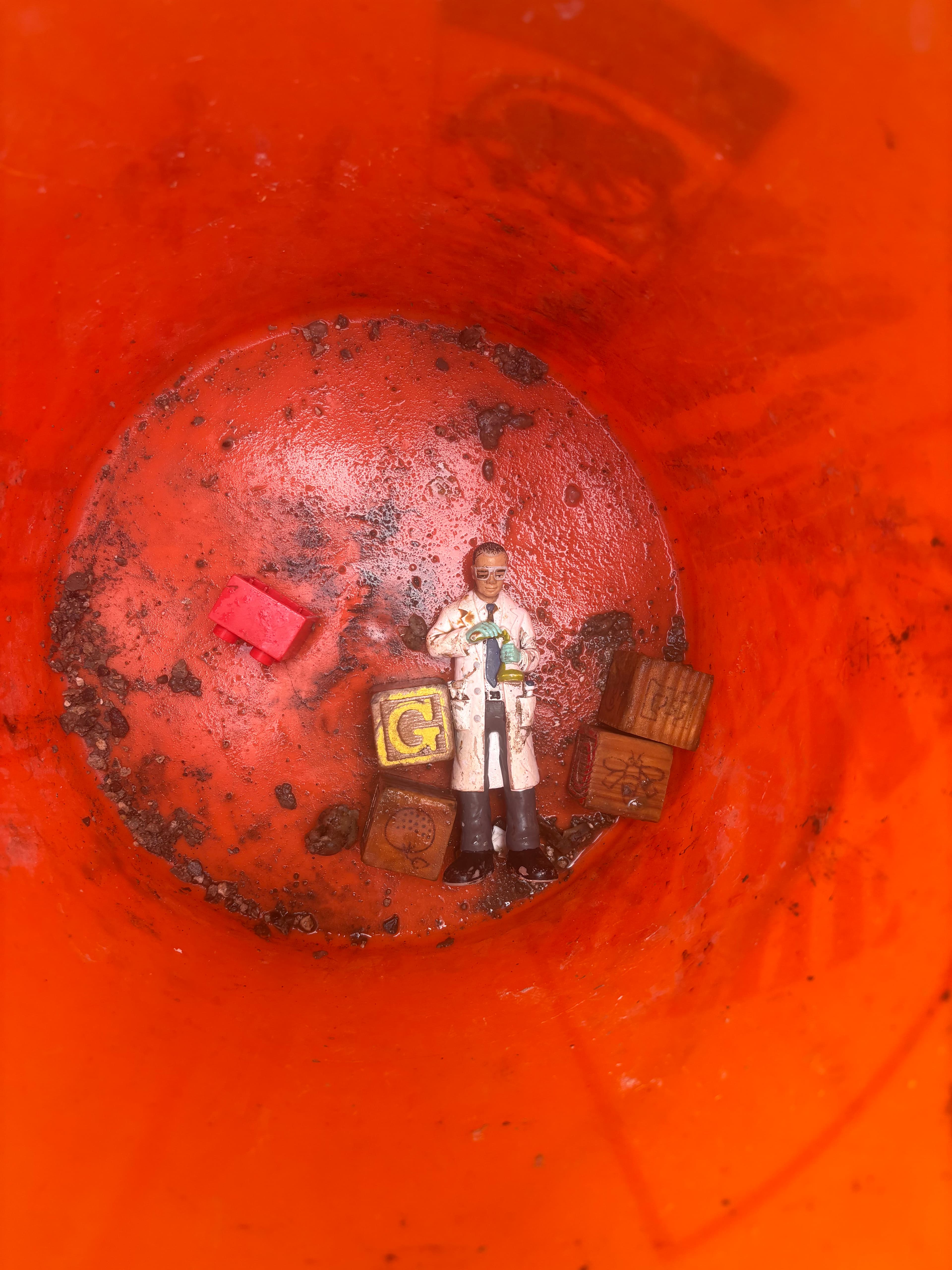 Project We've Seen It All But This One Takes the Trophy image