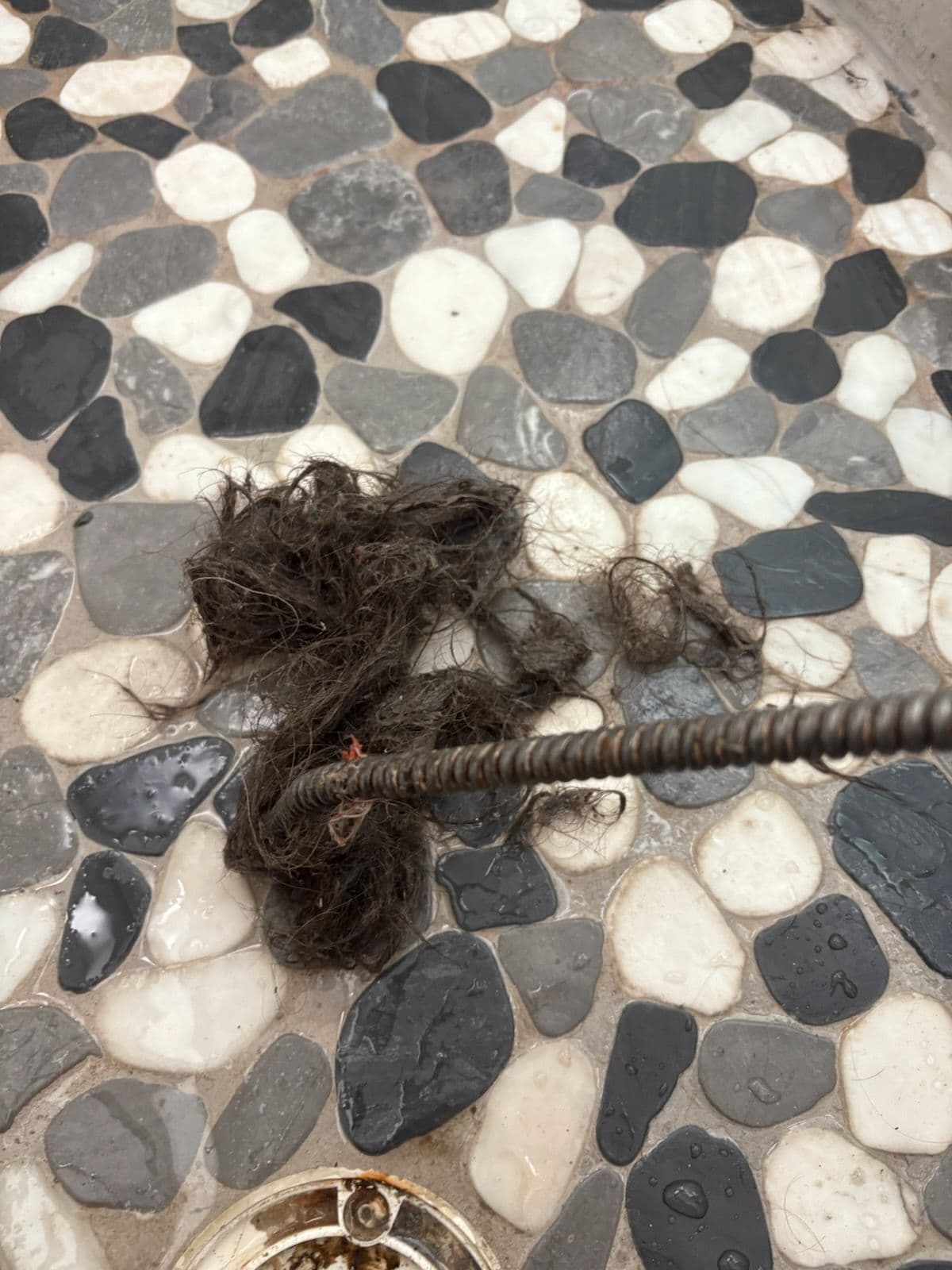 Ryno Plumbing's Solution to Clog-Free Showers in League City