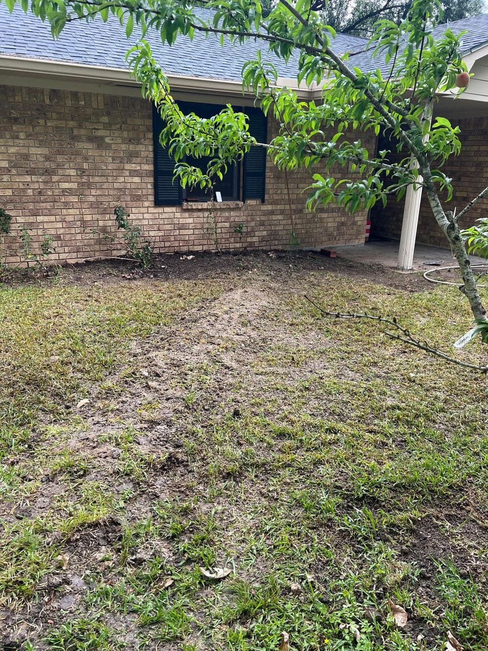 Patchy lawn in front of a brick house with bushes and a tree, showcasing bare soil.