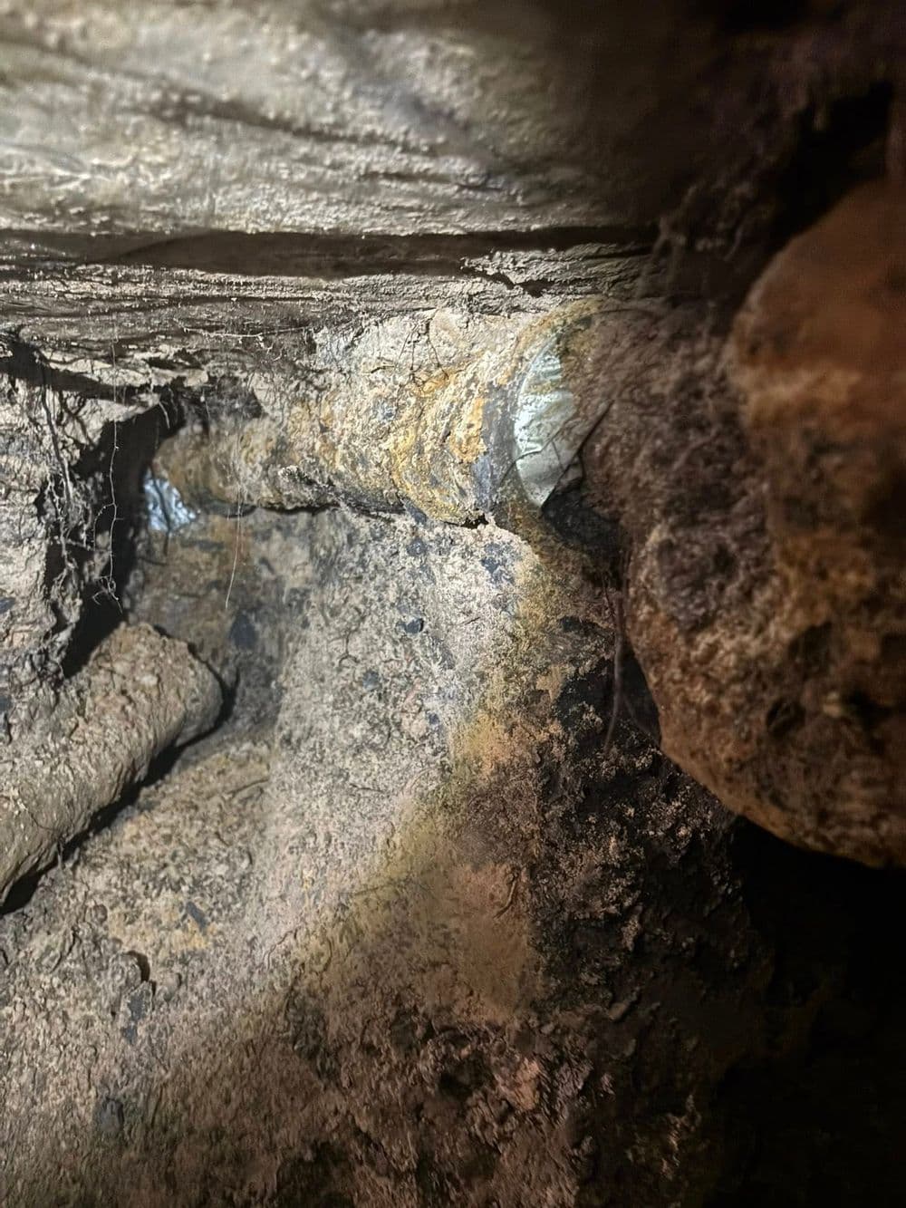 Close-up view of a rocky cave interior with damp earth and exposed geological features.
