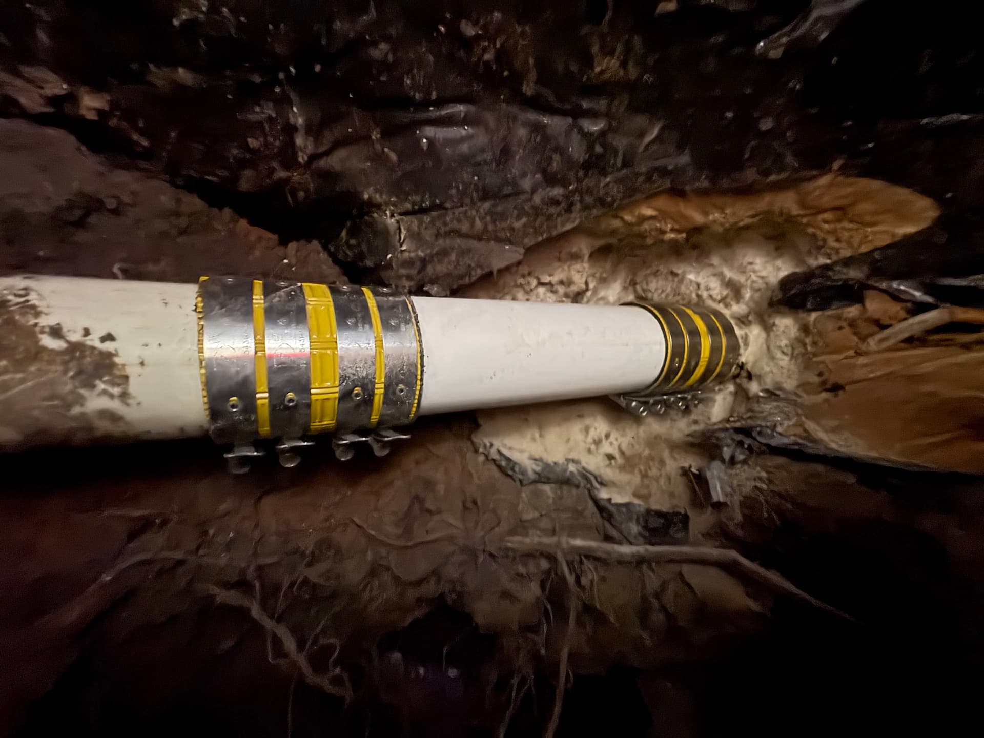 Gallery photos for Resolving a Root Blockage in Needville TX: Image #3