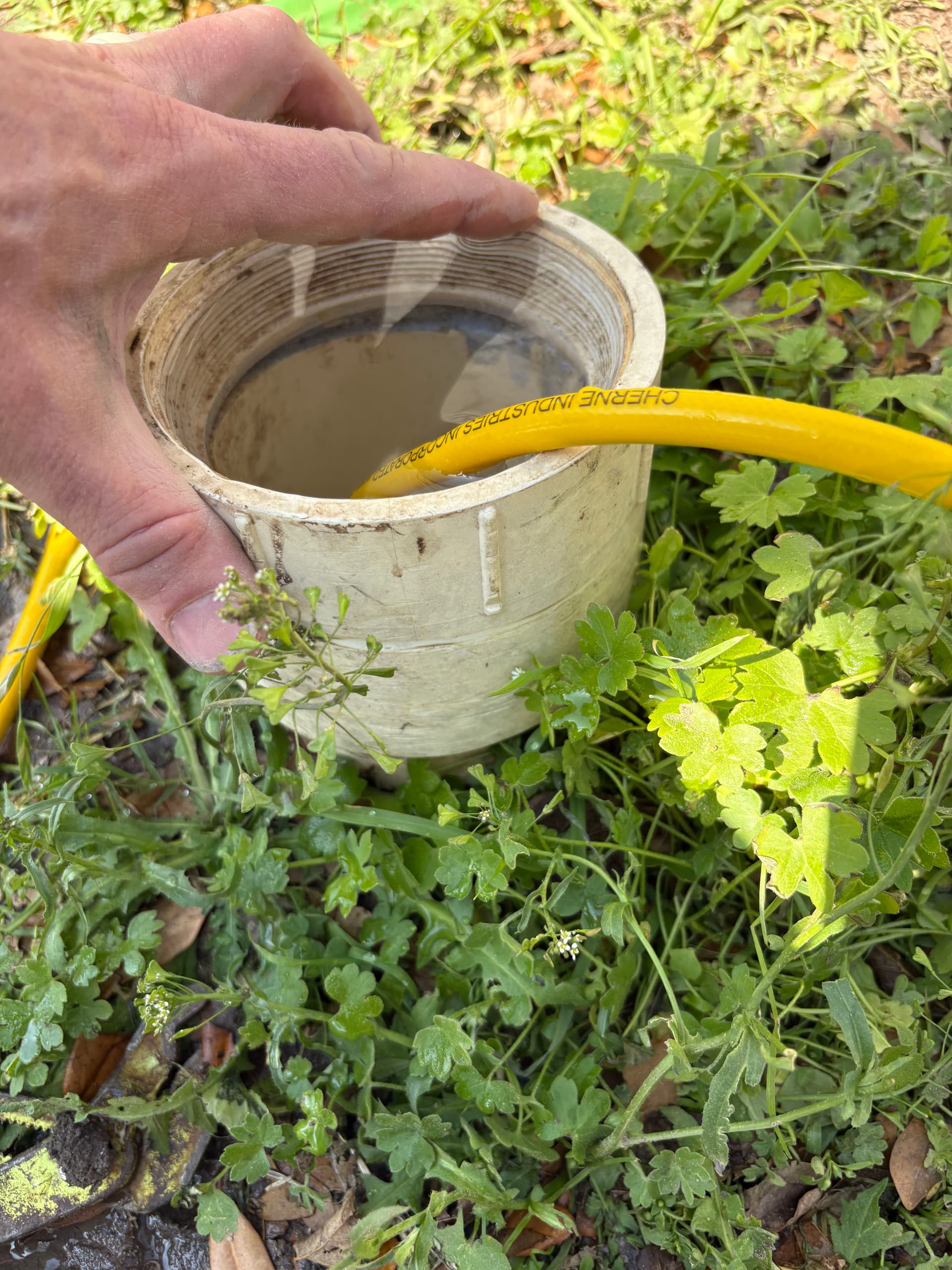 Gallery photos for Resolving a Root Blockage in Needville TX: Image #4