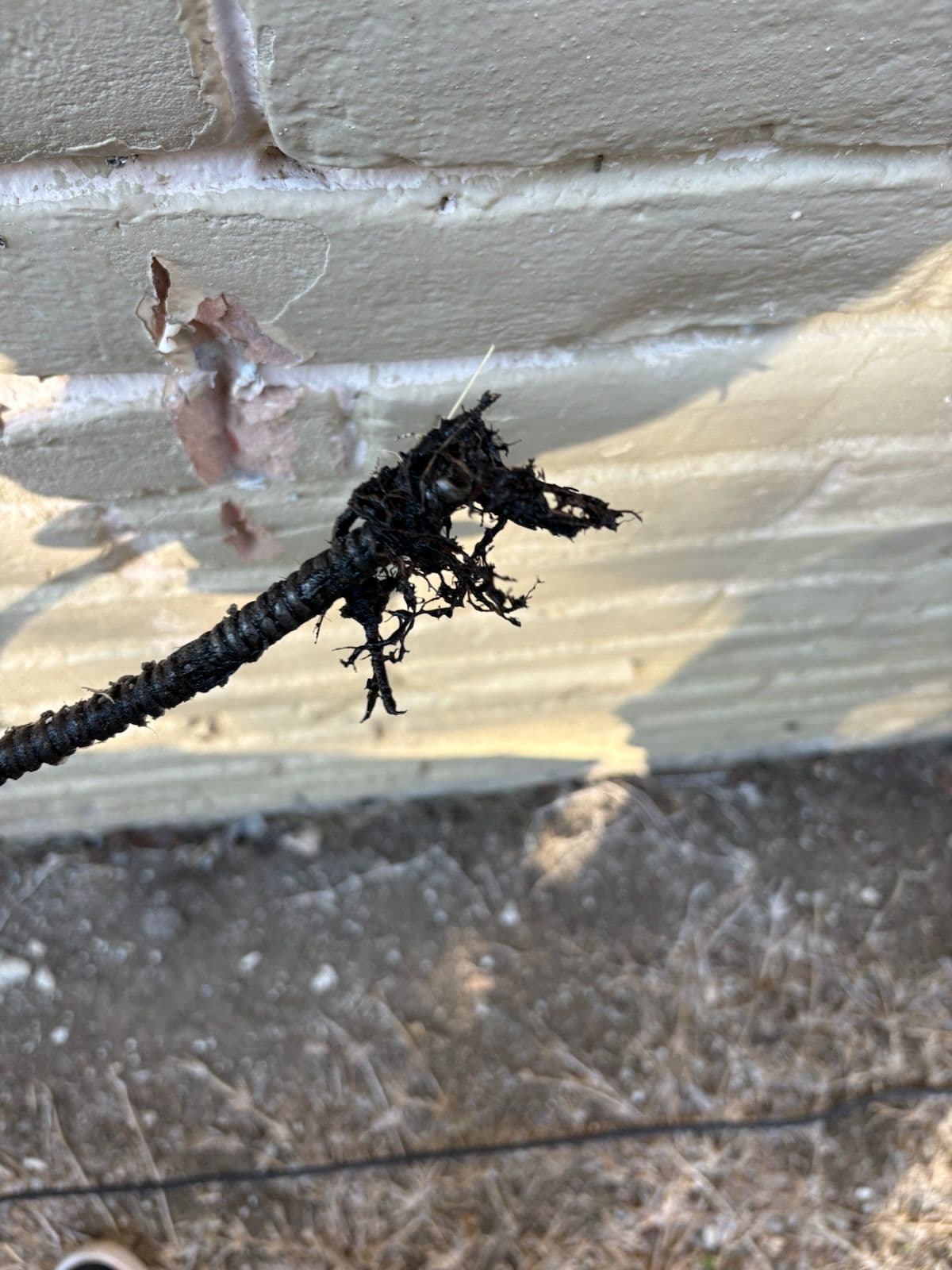 Root Removal and Stoppage Resolution in Hitchcock TX image